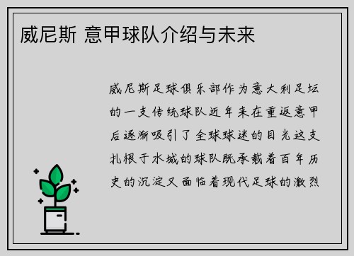 威尼斯 意甲球队介绍与未来